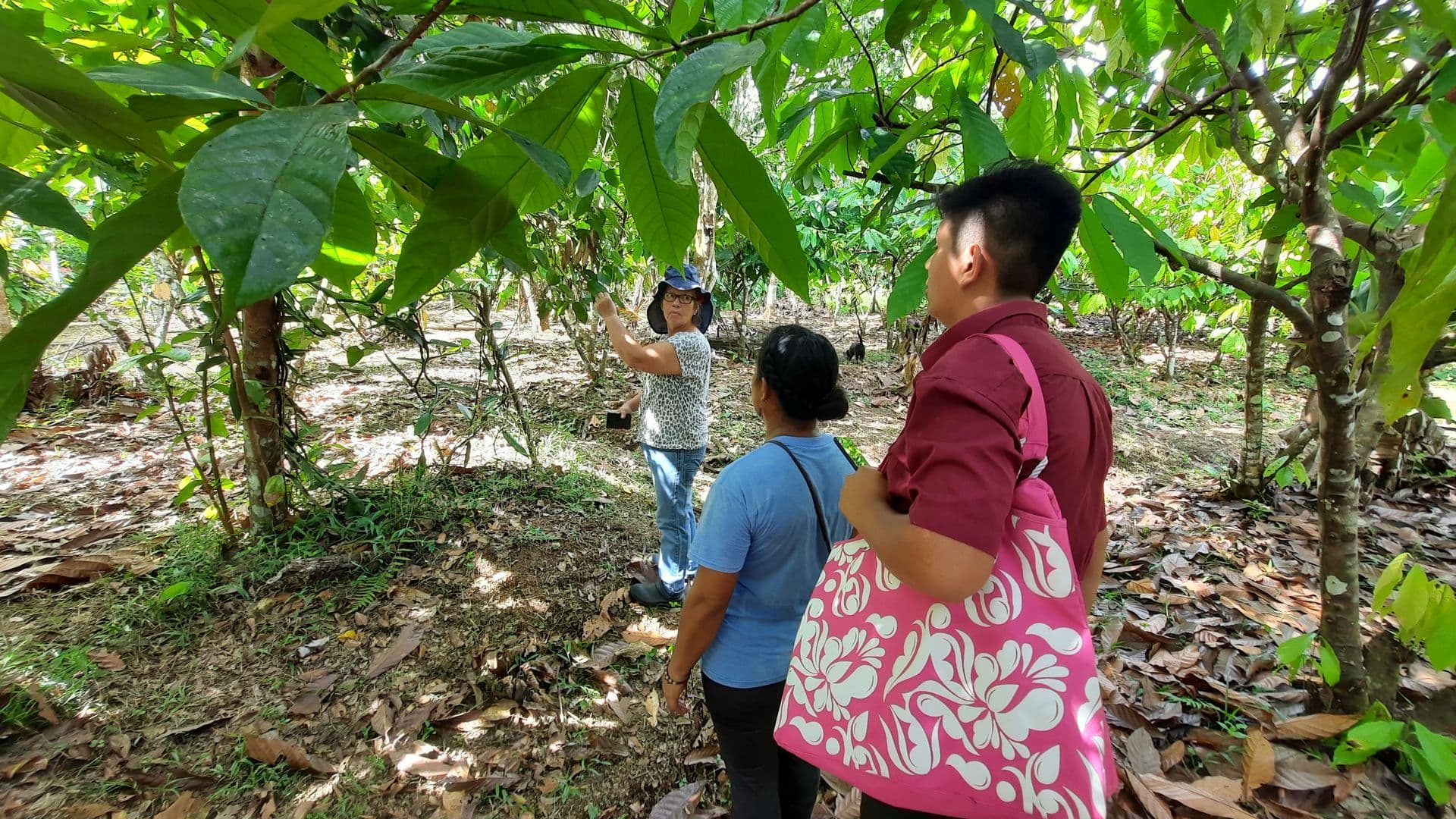 A sweet exchange: a report of a project exchange between community-based initiatives - V Social