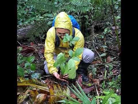 V Social Sportathon 2025