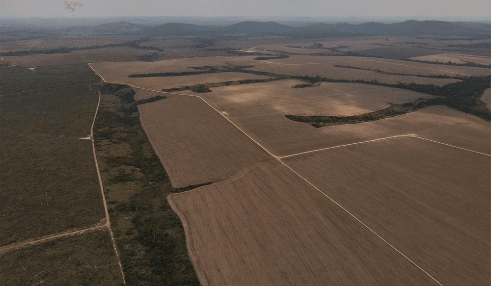 VSF_BLOG_08.25_Bruno Kelly_Soy monoculture in Brasil image by Bruno Kelly