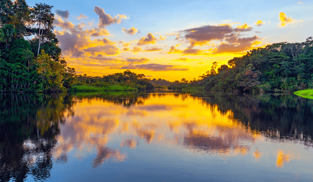 VSF_BLOG_08.25_CANVA_Amazon, Rainforest and River, Ecuador