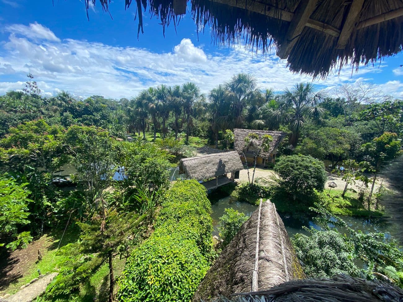 Sinchi Warmi Amazon Lodge