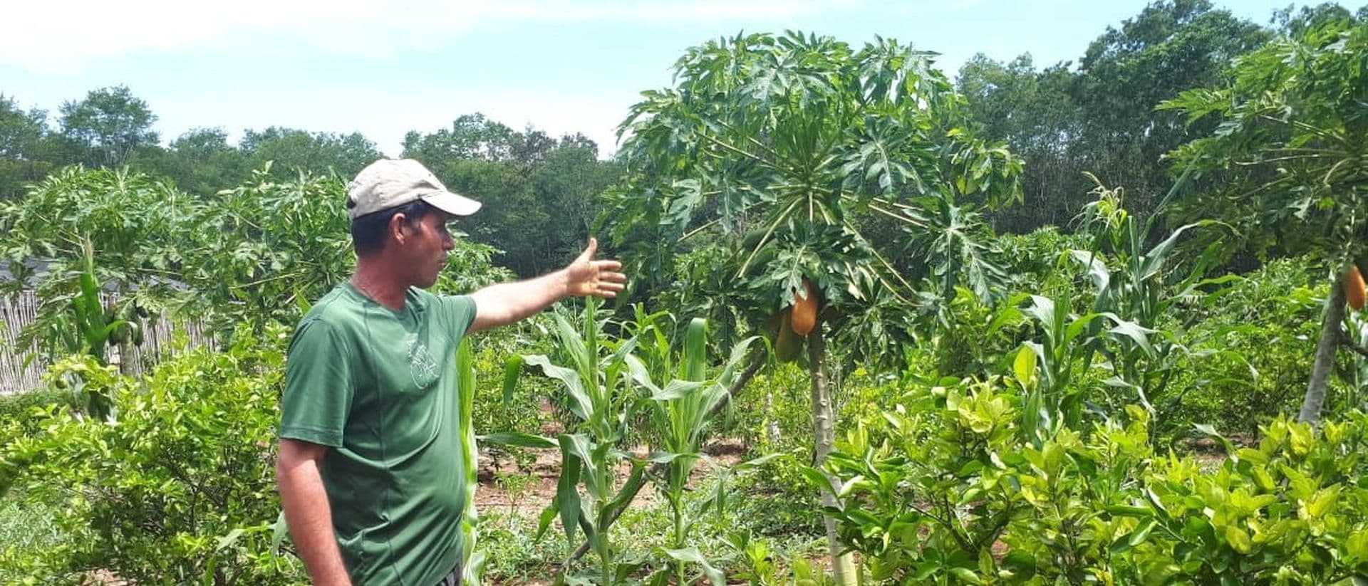 Transformación Comunitaria Header