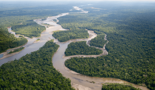VSF_BLOG_09.25_CANVA_Amazon Rainforest, river, aerial