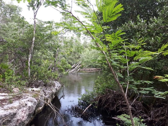Atractivo natural Casa Ana