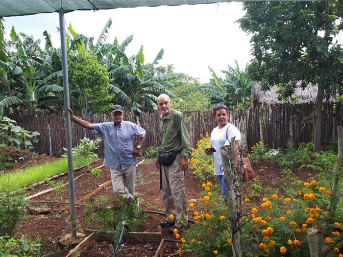 Cultivos en proyectos