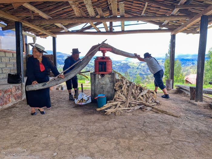 Saraurko visit V Social 2023