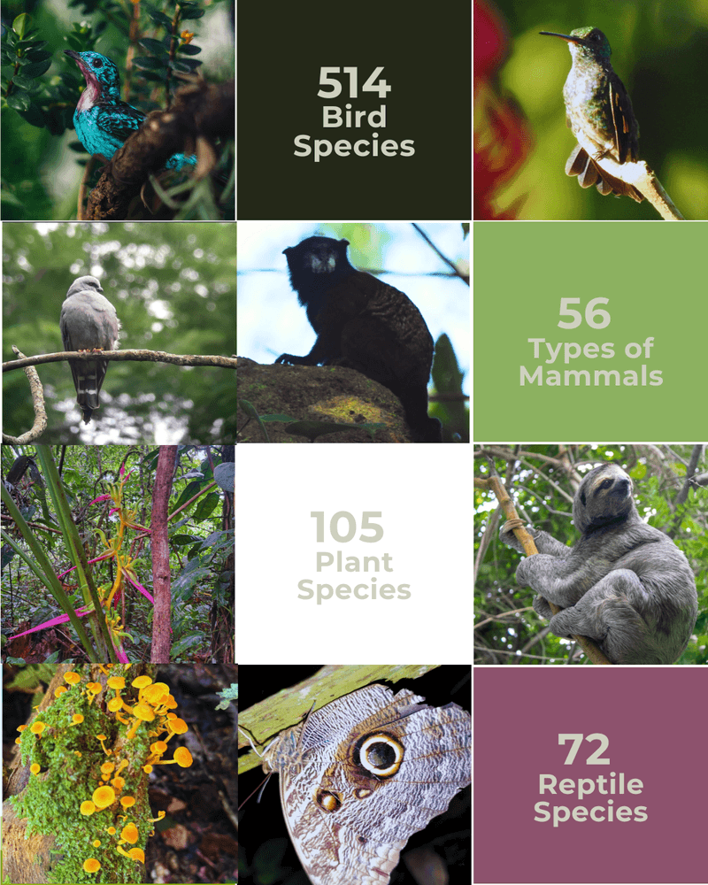 Biodiversity in Sinchi Warmi